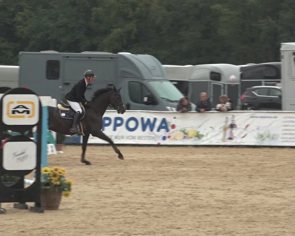 Reitturnier Ranshofen - Braunau am Inn 2023