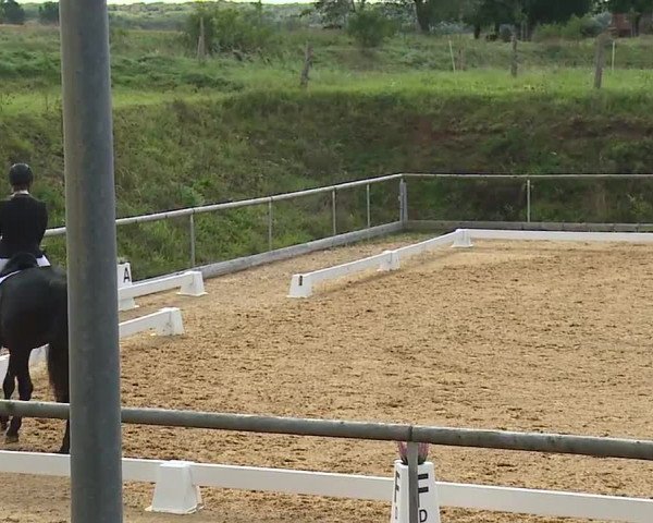 Reitturnier Altentrüdingen/Mfr. 2023