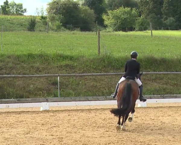 Reitturnier Altentrüdingen/Mfr. 2023