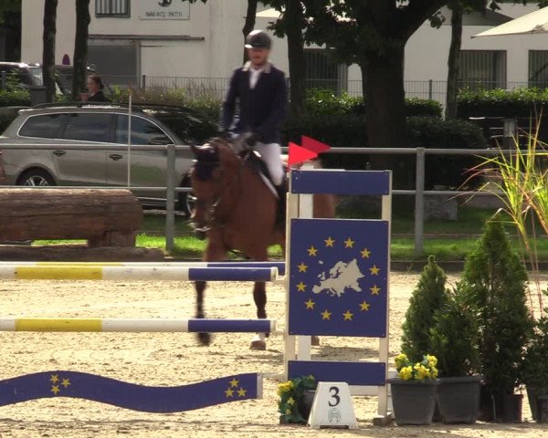 Reitturnier Langenfeld - Gut Langfort 2023