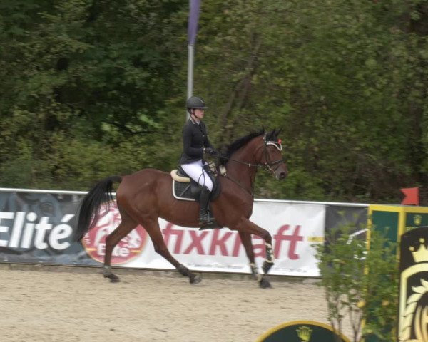 Reitturnier Karlsfeld 2023