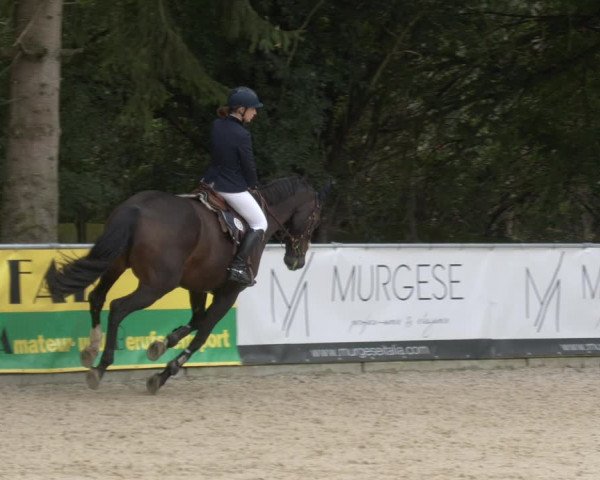 Reitturnier Karlsfeld 2023