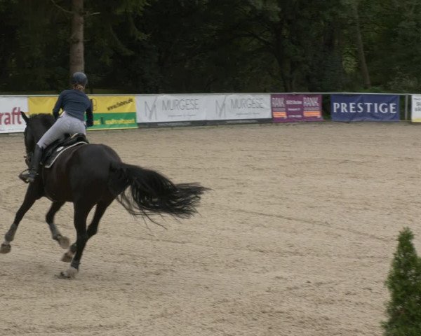 Reitturnier Karlsfeld 2023