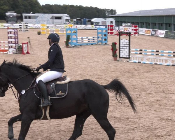 Reitturnier Ranshofen - Braunau am Inn 2023