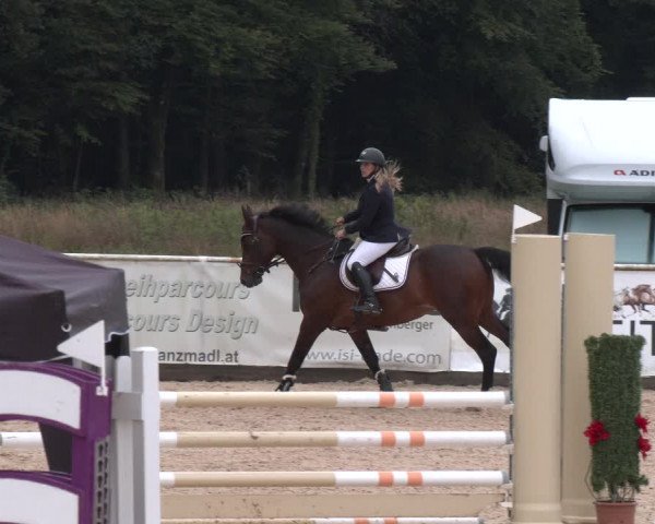 Reitturnier Ranshofen - Braunau am Inn 2023