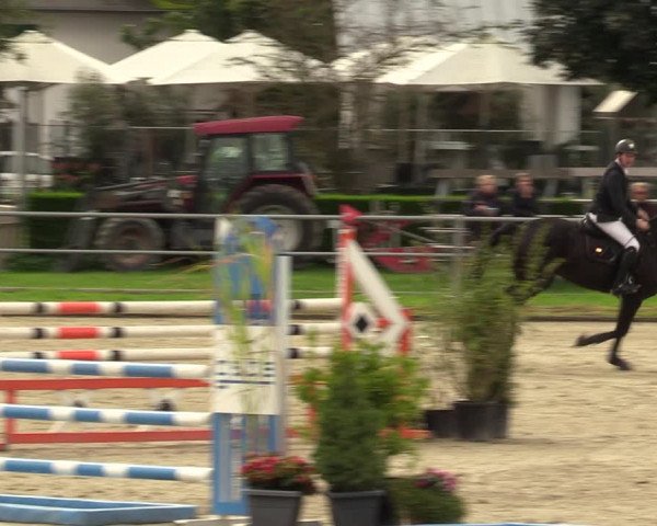 Reitturnier Langenfeld - Gut Langfort 2023