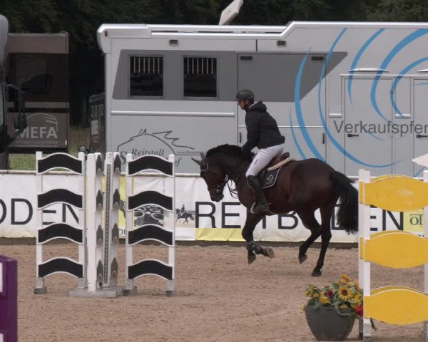 Reitturnier Ranshofen - Braunau am Inn 2023