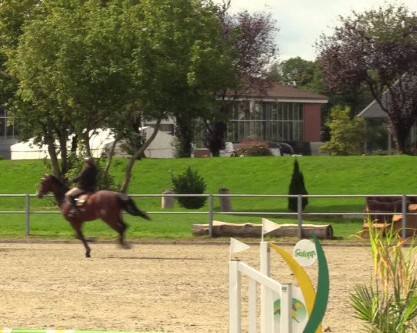 Reitturnier Langenfeld - Gut Langfort 2023