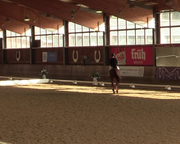 Reitturnier Köln-Leverkusen 2023