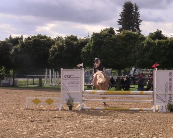 Reitturnier Birkungen 2023