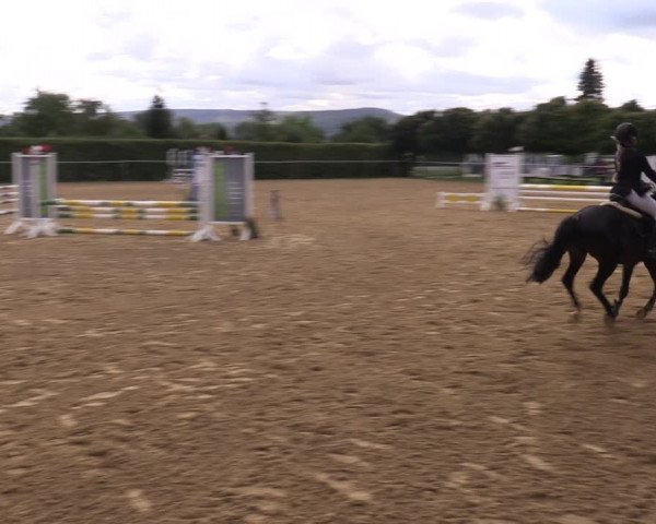 Reitturnier Birkungen 2023