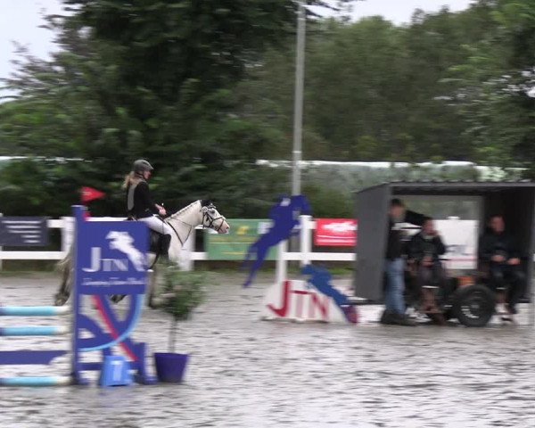 Reitturnier Mildstedt - JTN 2023