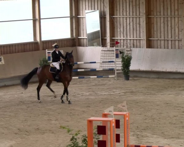 Reitturnier Winterthur 2023