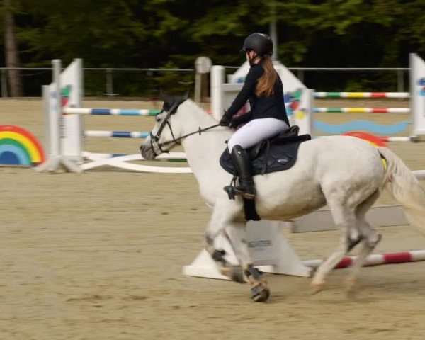 Reitturnier Leingarten 2023