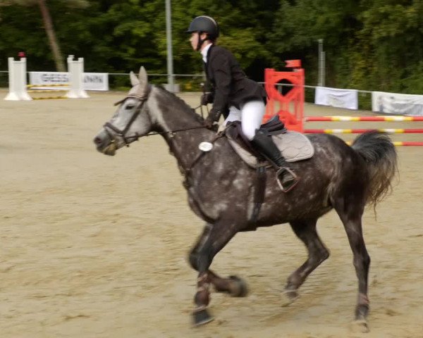 Reitturnier Leingarten 2023
