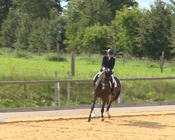Reitturnier Altentrüdingen/Mfr. 2023