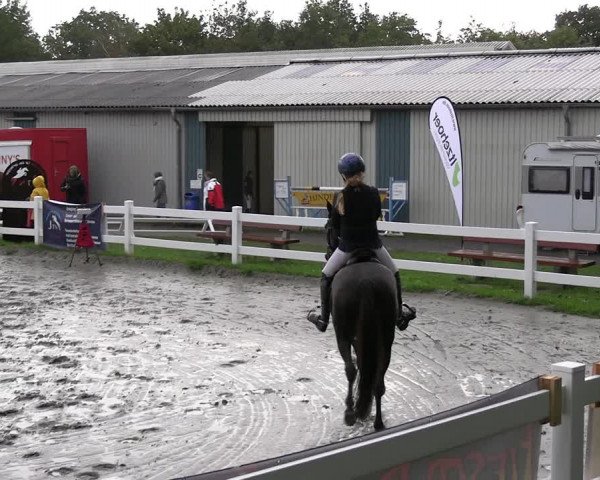 Reitturnier Mildstedt - JTN 2023
