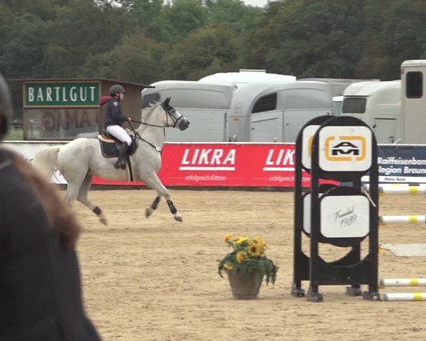 Reitturnier Ranshofen - Braunau am Inn 2023