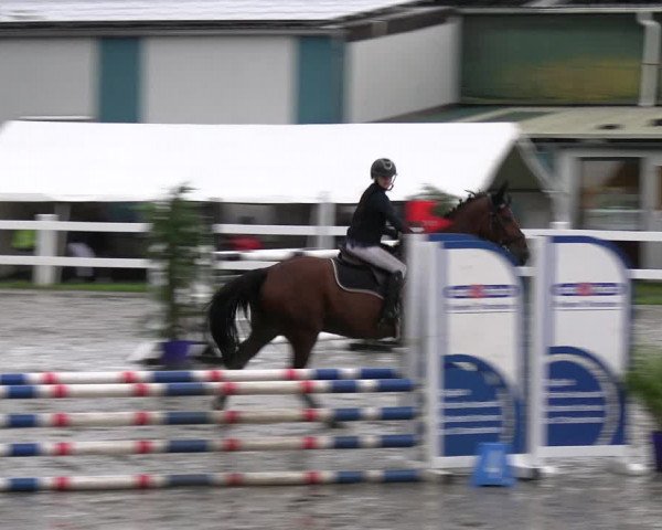 Reitturnier Mildstedt - JTN 2023