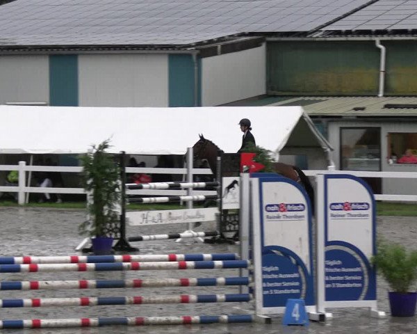 Reitturnier Mildstedt - JTN 2023
