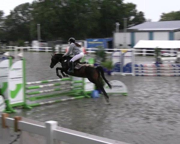 Reitturnier Mildstedt - JTN 2023