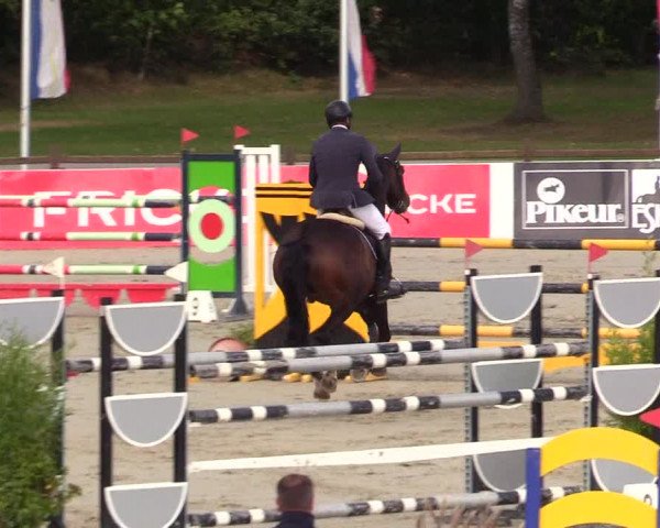 Reitturnier Westergellersen 2023