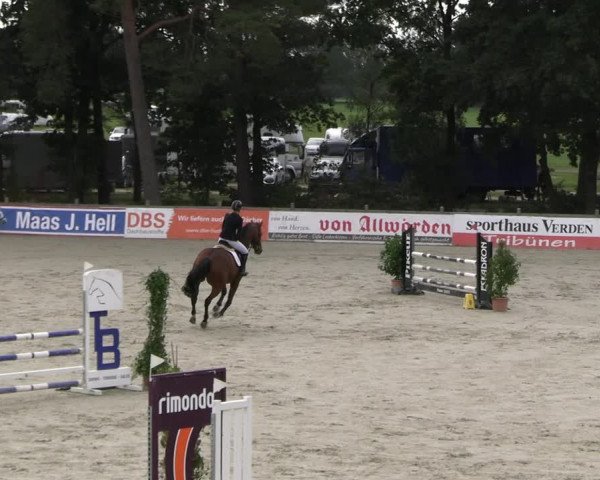 Reitturnier Westergellersen 2023