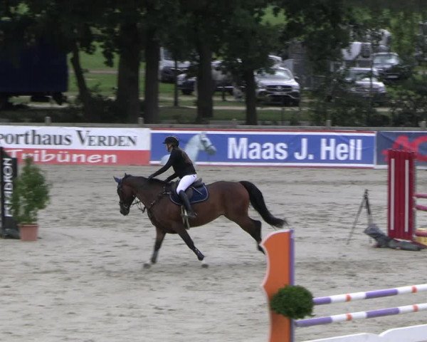 Reitturnier Westergellersen 2023