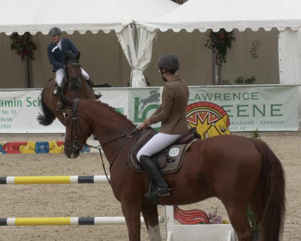Reitturnier Karlsfeld 2023