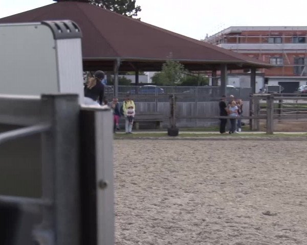 Reitturnier Poxdorf/Ofr 2023