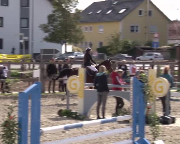 Reitturnier Poxdorf/Ofr 2023