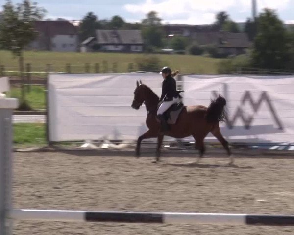 Reitturnier Poxdorf/Ofr 2023