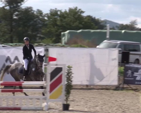 Reitturnier Poxdorf/Ofr 2023