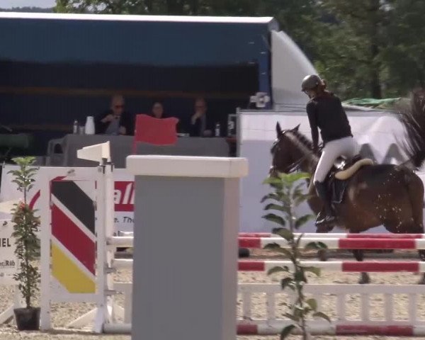 Reitturnier Poxdorf/Ofr 2023