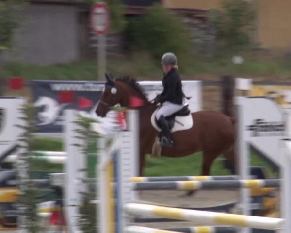 Reitturnier Poxdorf/Ofr 2023