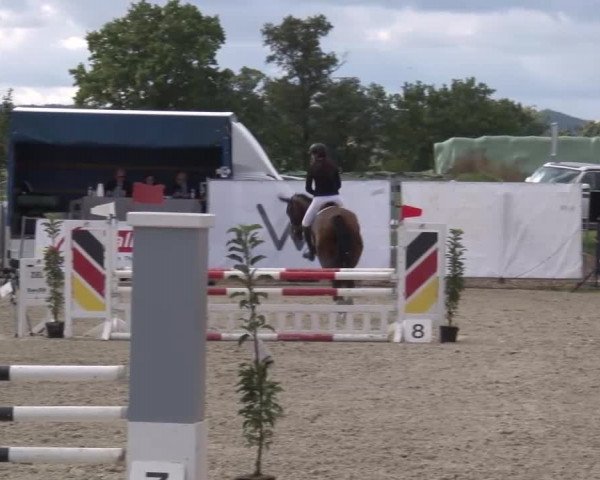Reitturnier Poxdorf/Ofr 2023