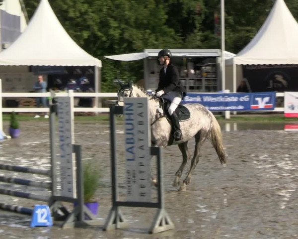 Reitturnier Mildstedt - JTN 2023