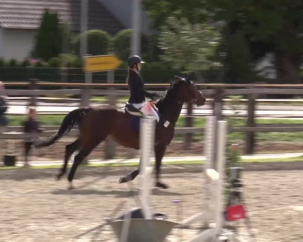 Reitturnier Poxdorf/Ofr 2023