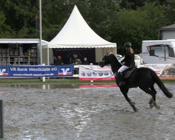 Reitturnier Mildstedt - JTN 2023