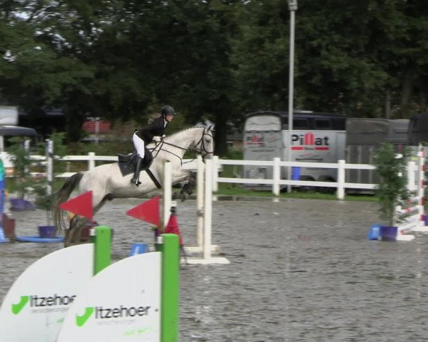 Reitturnier Mildstedt - JTN 2023