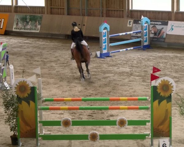 Reitturnier Winterthur 2023