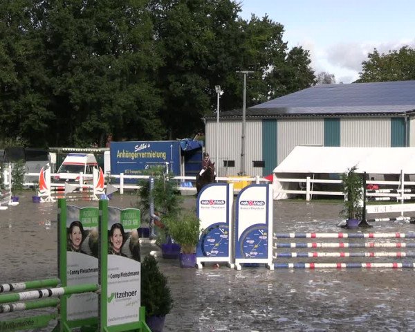 Reitturnier Mildstedt - JTN 2023