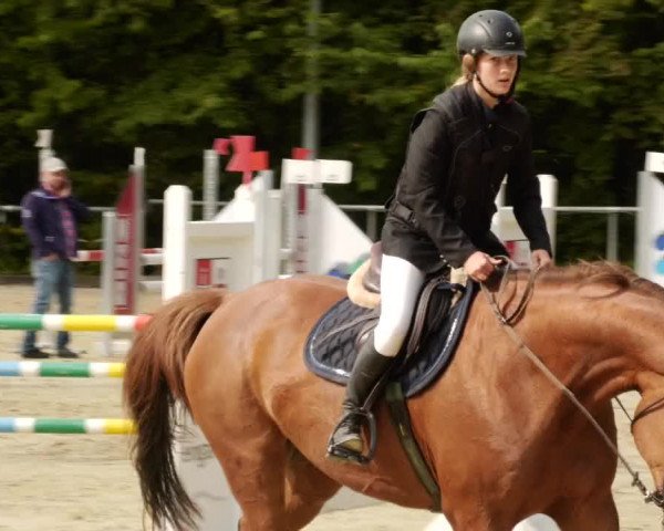 Reitturnier Leingarten 2023