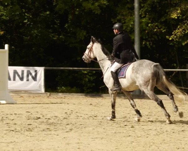 Reitturnier Leingarten 2023