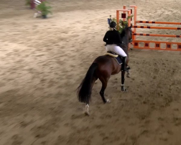 Reitturnier Winterthur 2023