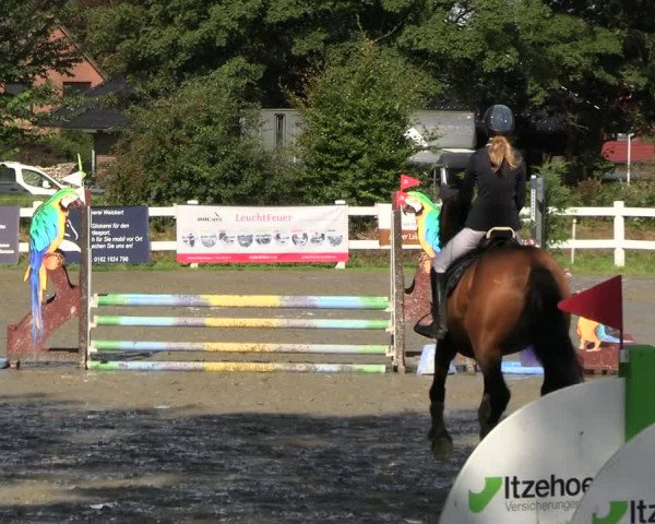 Reitturnier Mildstedt - JTN 2023