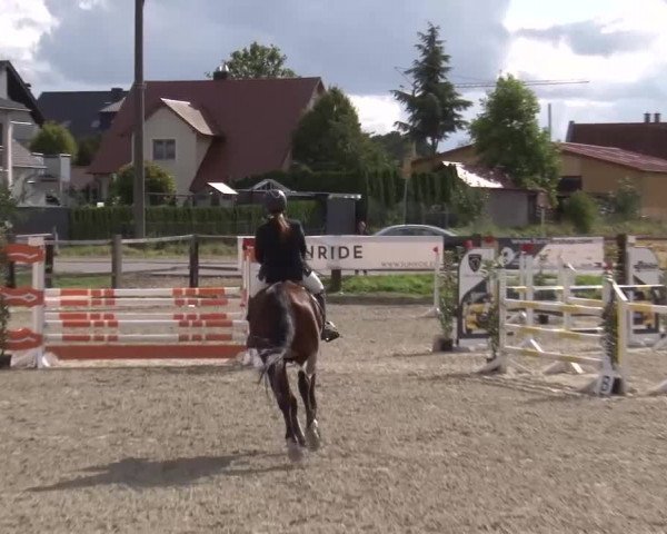 Reitturnier Poxdorf/Ofr 2023
