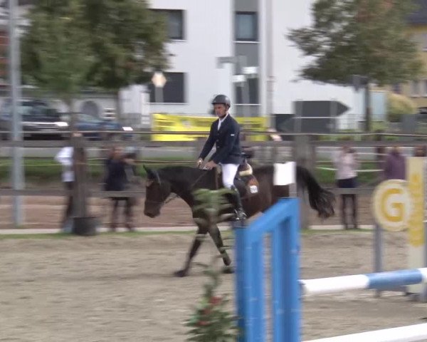 Reitturnier Poxdorf/Ofr 2023