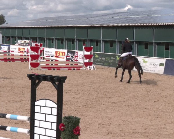 Reitturnier Ranshofen - Braunau am Inn 2023