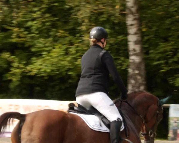 Reitturnier Leingarten 2023
